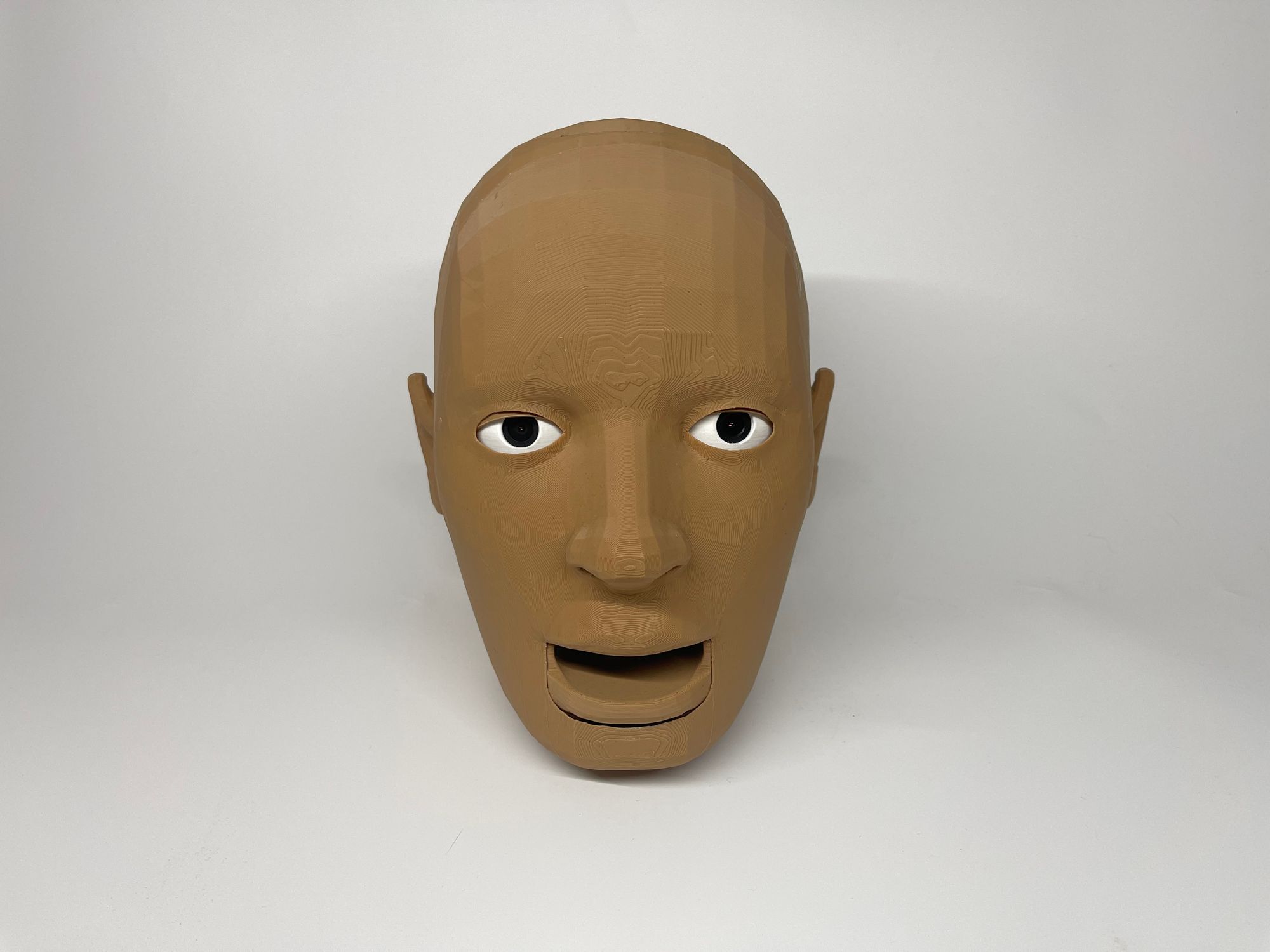 Robotic Head